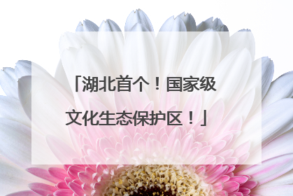 湖北首个！国家级文化生态保护区！