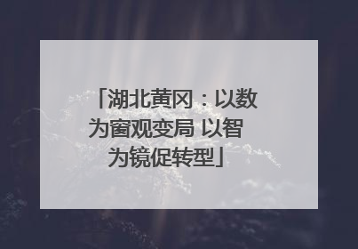 湖北黄冈：以数为窗观变局 以智为镜促转型