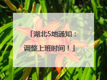 湖北5地通知：调整上班时间！