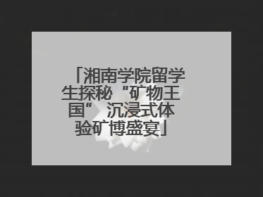 湘南学院留学生探秘“矿物王国” 沉浸式体验矿博盛宴