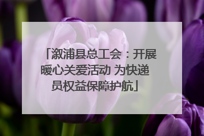 溆浦县总工会：开展暖心关爱活动 为快递员权益保障护航