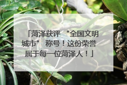菏泽获评 “全国文明城市” 称号！这份荣誉属于每一位菏泽人！
