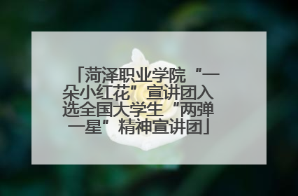 菏泽职业学院“一朵小红花”宣讲团入选全国大学生“两弹一星”精神宣讲团