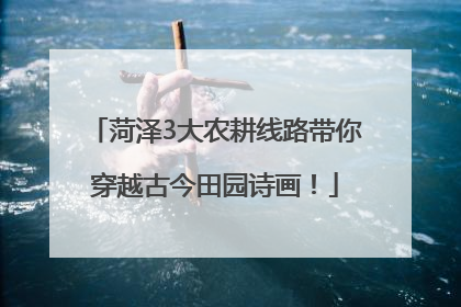 菏泽3大农耕线路带你穿越古今田园诗画！