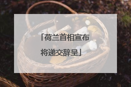 荷兰首相宣布将递交辞呈