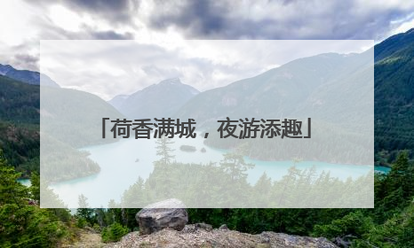 荷香满城，夜游添趣