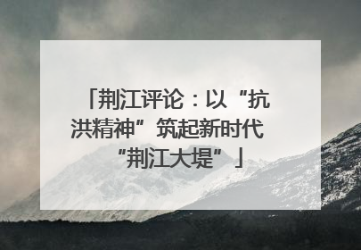 荆江评论：以“抗洪精神”筑起新时代“荆江大堤”