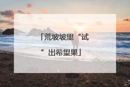 荒坡坡里“试”出希望果