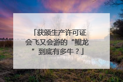 获颁生产许可证 会飞又会游的“鲲龙”到底有多牛？