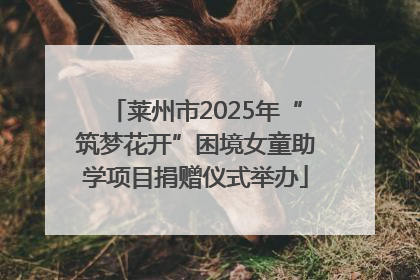 莱州市2025年“筑梦花开”困境女童助学项目捐赠仪式举办
