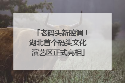老码头新腔调！湖北首个码头文化演艺区正式亮相