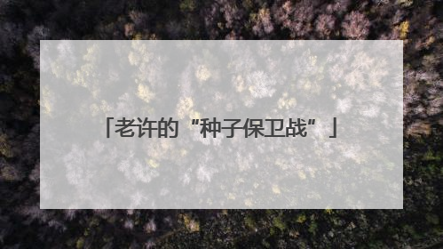 老许的“种子保卫战”