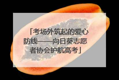 考场外筑起的爱心防线——向日葵志愿者协会护航高考