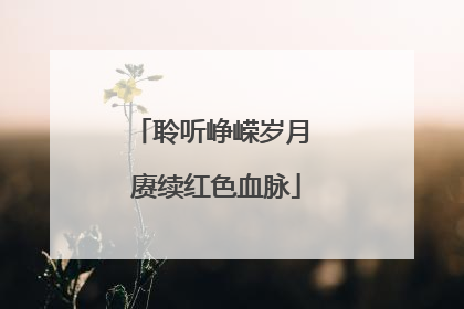 聆听峥嵘岁月 赓续红色血脉