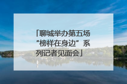 聊城举办第五场“榜样在身边”系列记者见面会