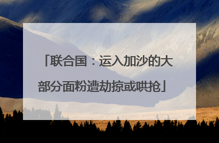 联合国：运入加沙的大部分面粉遭劫掠或哄抢