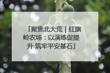 聚焦北大荒｜红旗岭农场：以演练促提升 筑牢平安基石