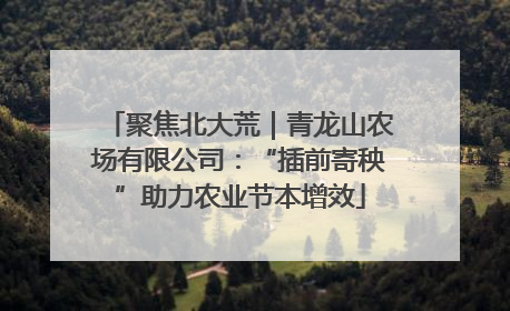 聚焦北大荒｜青龙山农场有限公司：“插前寄秧”助力农业节本增效