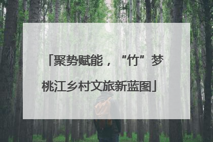 聚势赋能，“竹”梦桃江乡村文旅新蓝图