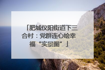 肥城仪阳街道下三合村：党群连心绘幸福“实景图”