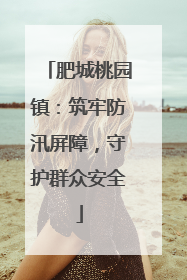 肥城桃园镇：筑牢防汛屏障，守护群众安全