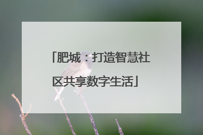 肥城：打造智慧社区共享数字生活