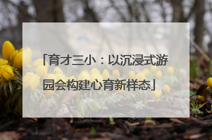 育才三小：以沉浸式游园会构建心育新样态