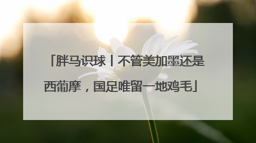 胖马识球丨不管美加墨还是西葡摩，国足唯留一地鸡毛