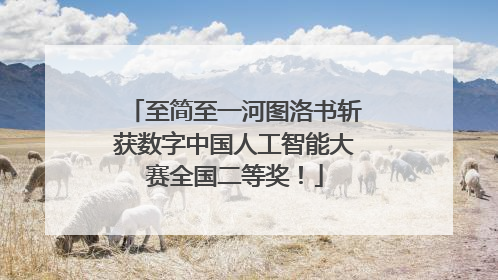 至简至一河图洛书斩获数字中国人工智能大赛全国二等奖！
