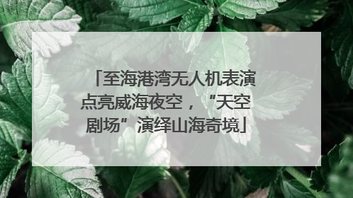 至海港湾无人机表演点亮威海夜空，“天空剧场”演绎山海奇境