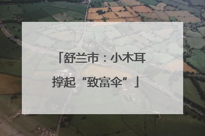 舒兰市：小木耳撑起“致富伞”
