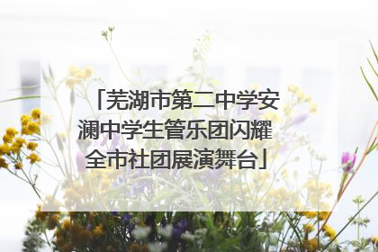 芜湖市第二中学安澜中学生管乐团闪耀全市社团展演舞台