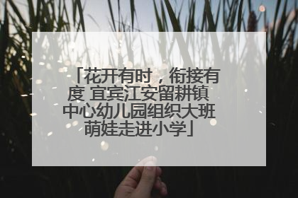 花开有时，衔接有度 宜宾江安留耕镇中心幼儿园组织大班萌娃走进小学