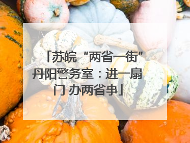 苏皖“两省一街”丹阳警务室：进一扇门 办两省事