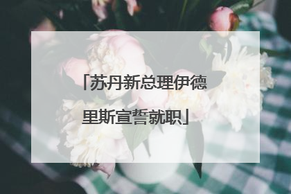 苏丹新总理伊德里斯宣誓就职