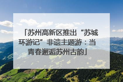 苏州高新区推出“苏城环游记”非遗主题游：当青春邂逅苏州古韵