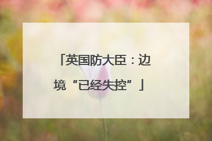 英国防大臣：边境“已经失控”