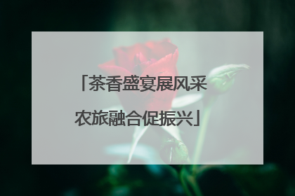 茶香盛宴展风采 农旅融合促振兴