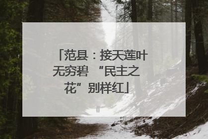 范县：接天莲叶无穷碧 “民主之花”别样红