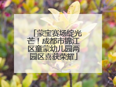蒙宝赛场绽光芒！成都市锦江区童蒙幼儿园两园区喜获荣耀