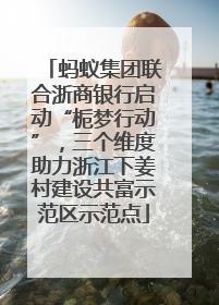 蚂蚁集团联合浙商银行启动“栀梦行动”，三个维度助力浙江下姜村建设共富示范区示范点