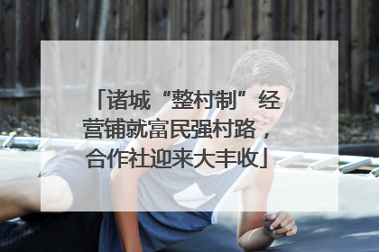 诸城“整村制”经营铺就富民强村路，合作社迎来大丰收