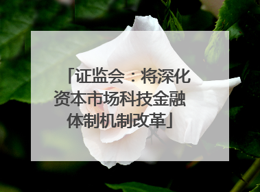 证监会：将深化资本市场科技金融体制机制改革