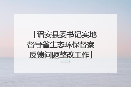 诏安县委书记实地督导省生态环保督察反馈问题整改工作