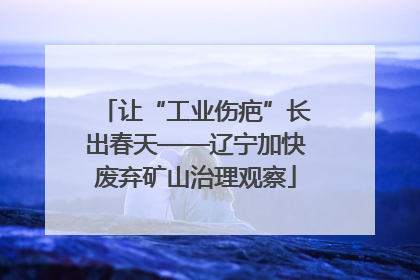 让“工业伤疤”长出春天——辽宁加快废弃矿山治理观察