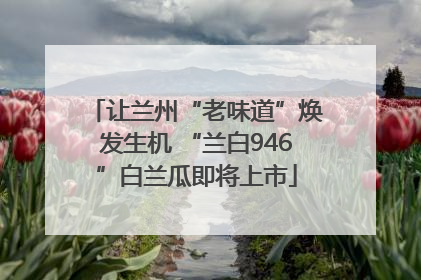 让兰州“老味道”焕发生机 “兰白946”白兰瓜即将上市