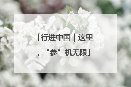 行进中国｜这里，“参”机无限