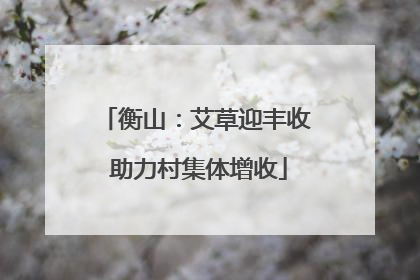 衡山：艾草迎丰收 助力村集体增收