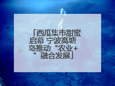 西瓜集市甜蜜启幕 宁波高塘岛推动“农业+”融合发展