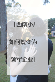 西南小厂如何蝶变为领军企业